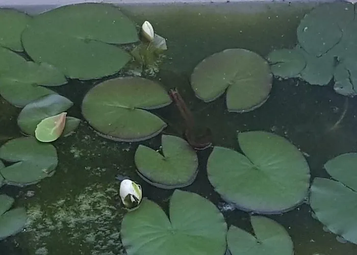 Hostel Libera Σόφια