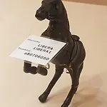 Libera Sofia
