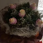 Libera Auberge de jeunesse Sofia